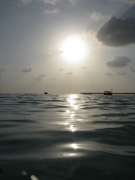 img_3485.jpg
