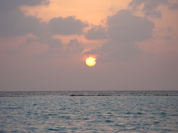 img_3488.jpg