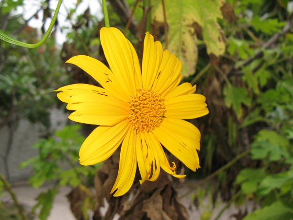 img_3564.jpg