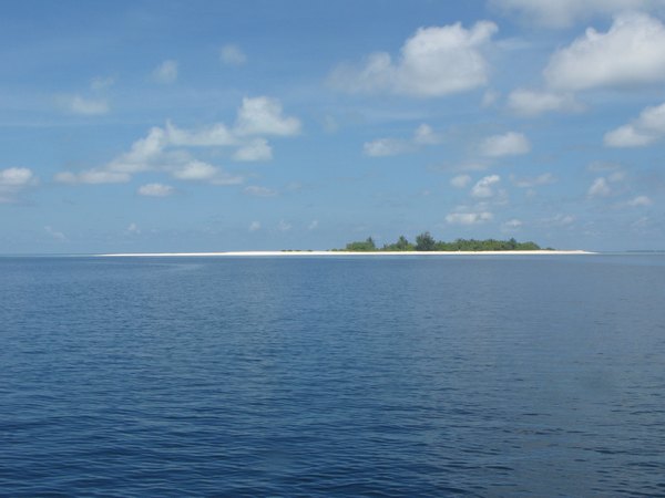 img_3724.jpg