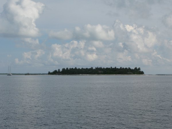 img_3783.jpg