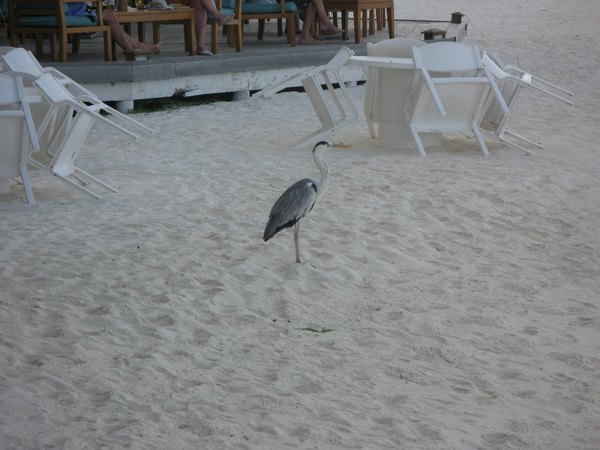 img_3789.jpg