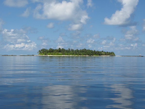 img_3861.jpg