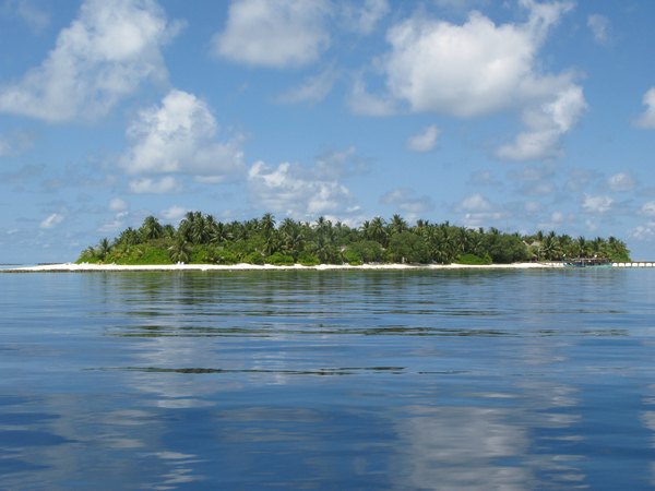 img_3864.jpg