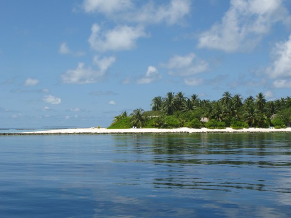 img_3866.jpg