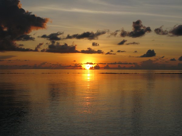 img_3867.jpg