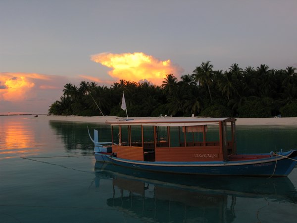 img_3867c.jpg