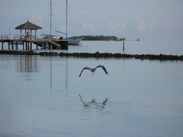 img_3885.jpg