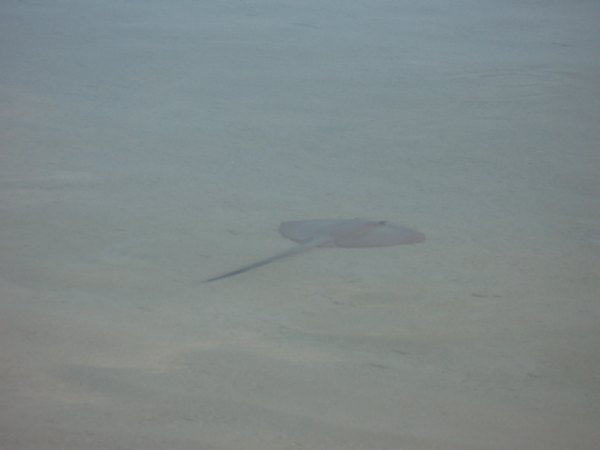 img_3887.jpg