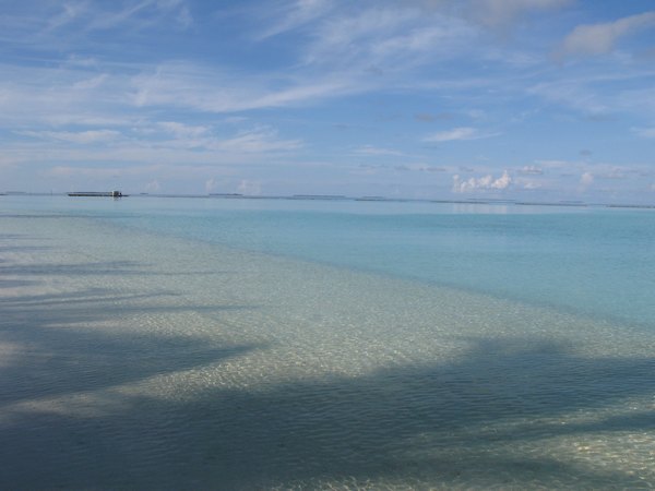 img_3914.jpg